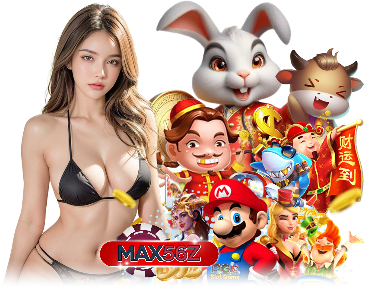 MAX56Z ทางเข้า